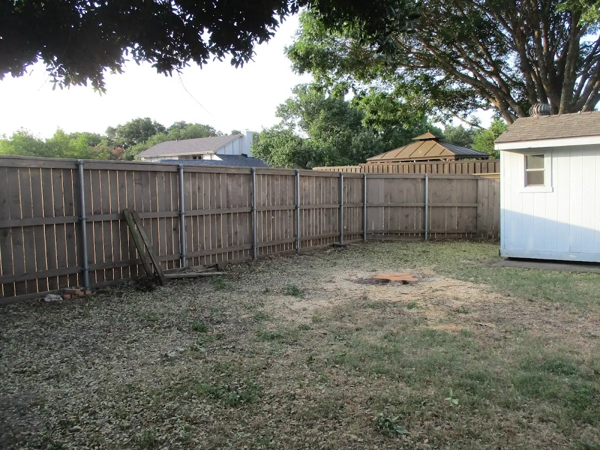 Cleared yard after professional tree removal in Centralia